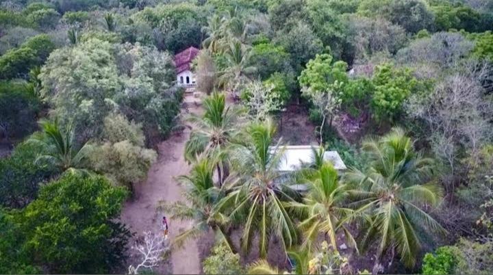 Soma Cabana, Homestay & Restaurant Tangalle Ngoại thất bức ảnh