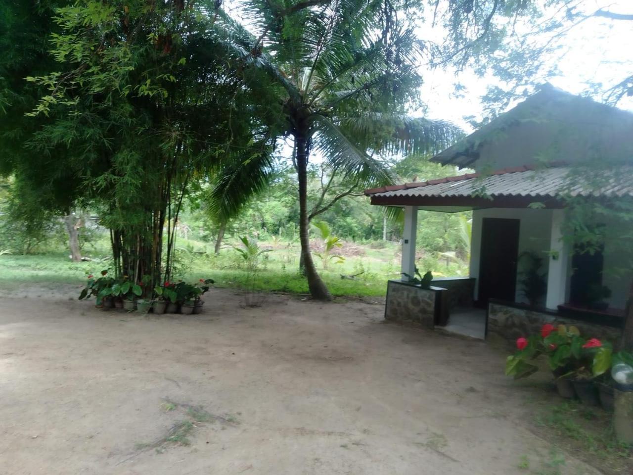 Soma Cabana, Homestay & Restaurant Tangalle Ngoại thất bức ảnh